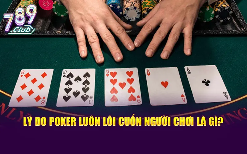 Lý do poker luôn lôi cuốn người chơi là gì?