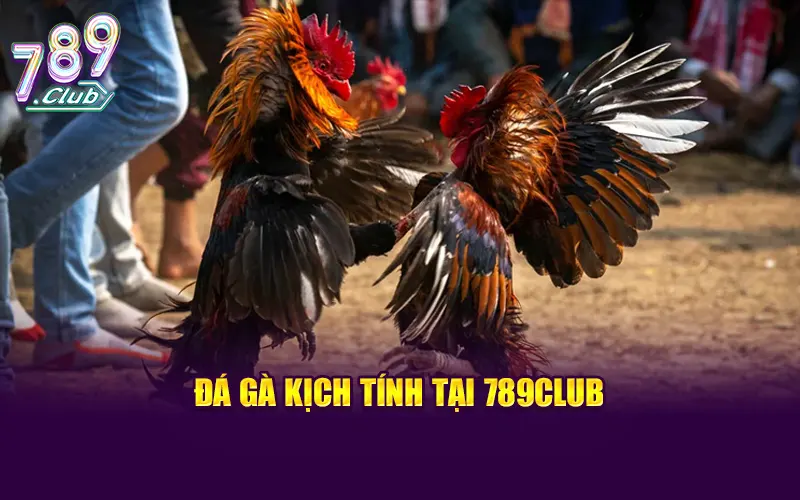 Đá gà kịch tính tại 789CLUB