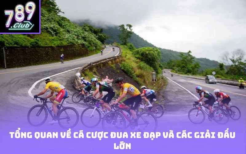 Tổng quan về cá cược đua xe đạp và các giải đấu lớn