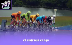 Cá cược đua xe đạp
