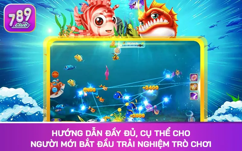 Hướng dẫn đầy đủ, cụ thể cho người mới bắt đầu trải nghiệm trò chơi