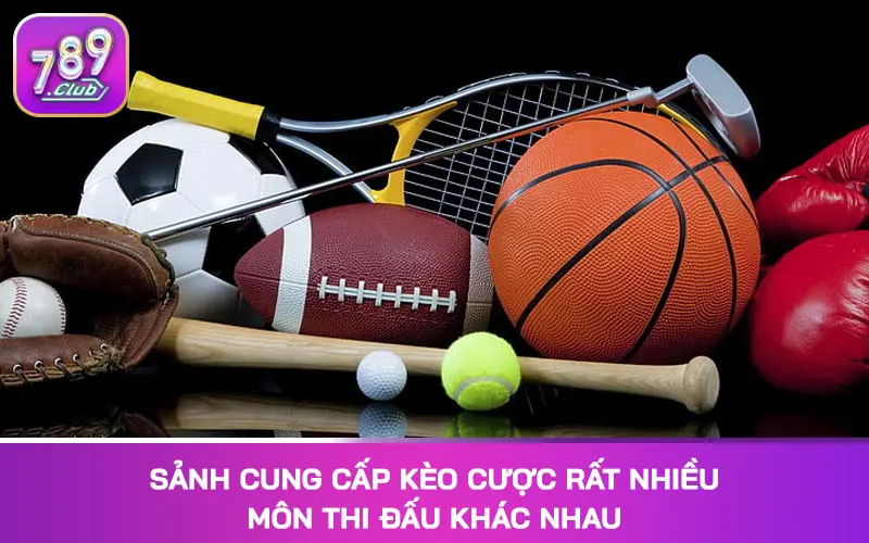 Sảnh cung cấp kèo cược rất nhiều môn thi đấu khác nhau