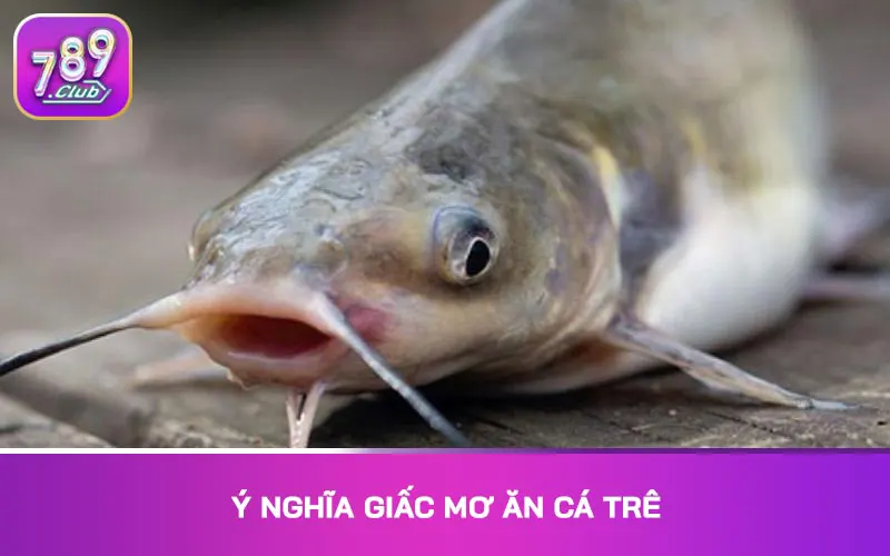 Ý nghĩa giấc mơ ăn cá trê